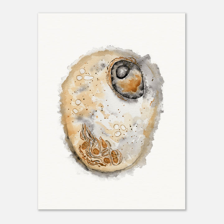 animal cell watercolor art print by ontogenie, gift for biologist or medical professional