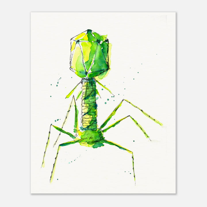 bacteriophage watercolor art print by ontogenie