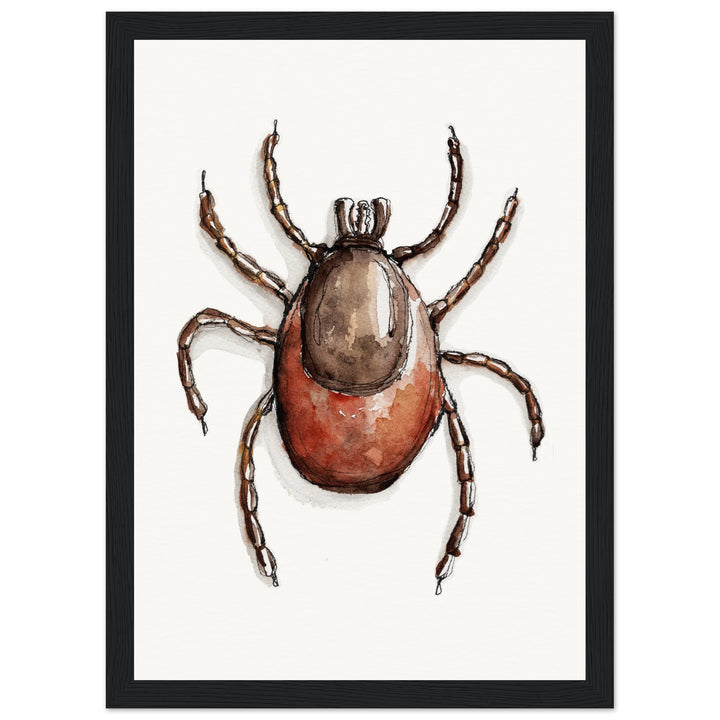 framed print of deer tick ixodes watercolor painting by ontogenie