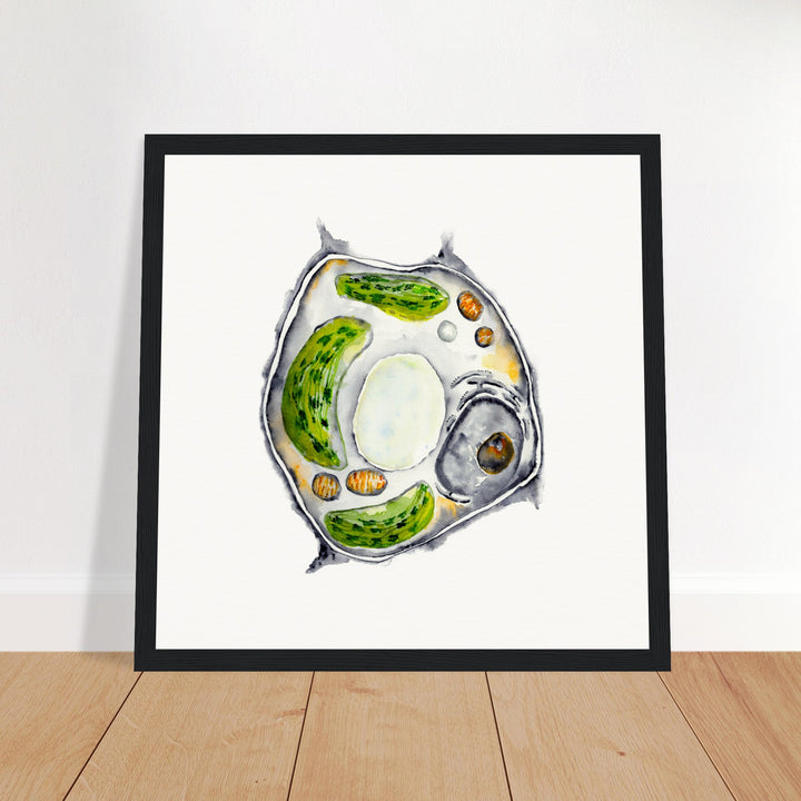 framed print of plant cell watercolor painting by ontogenie
