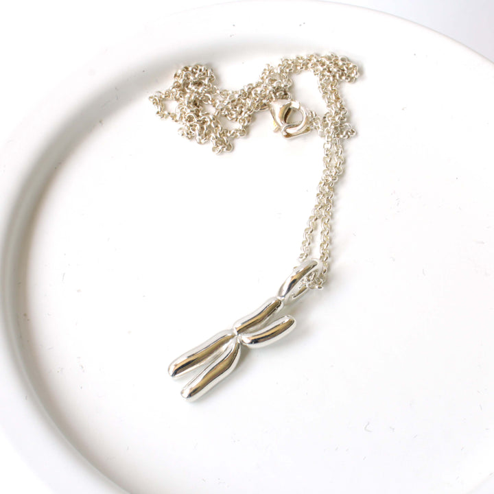 Chromosome pendant in polished silver by Ontogenie Science Jewelry