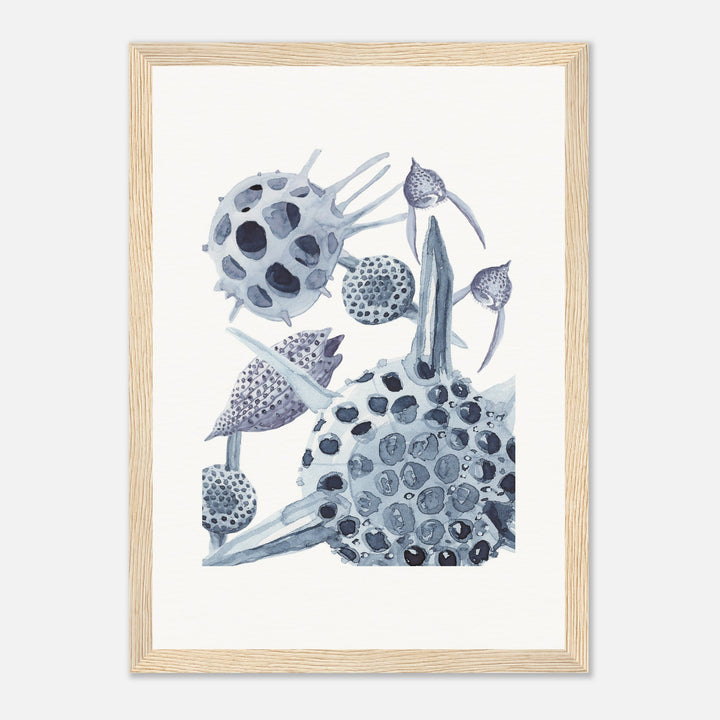 radiolaria watercolor painting framed print by ontogenie