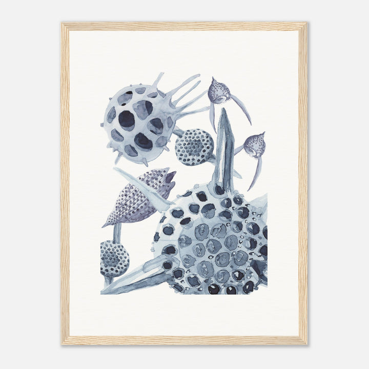 radiolaria watercolor painting framed print by ontogenie
