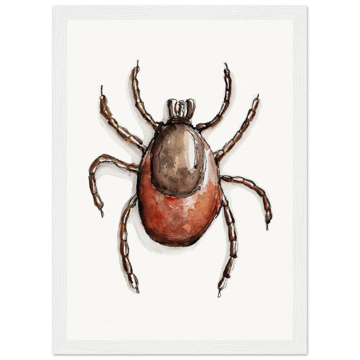 framed print of deer tick ixodes watercolor painting by ontogenie