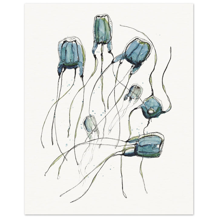 alatina box jellyfish watercolor art print by ontogenie