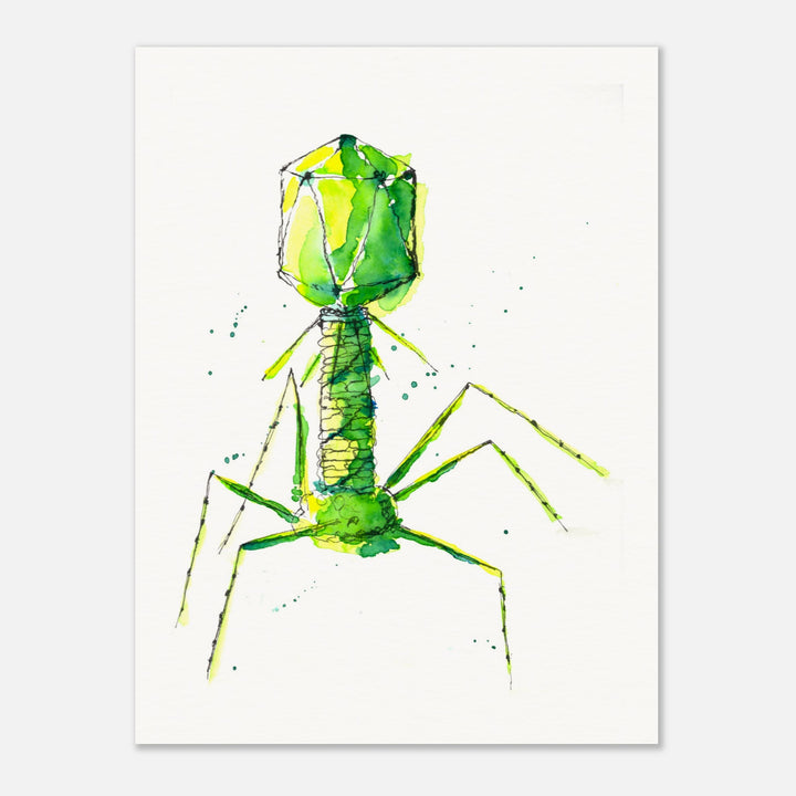 bacteriophage watercolor art print by ontogenie