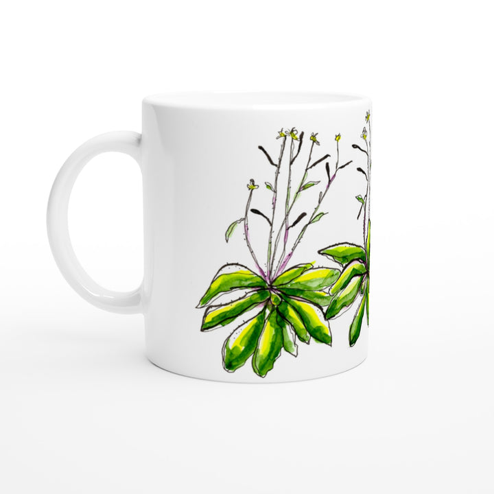 arabidopsis thaliana watercolor mug by ontogenie