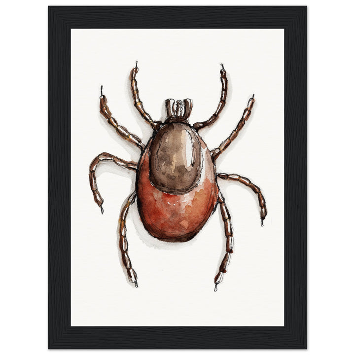framed print of deer tick ixodes watercolor painting by ontogenie