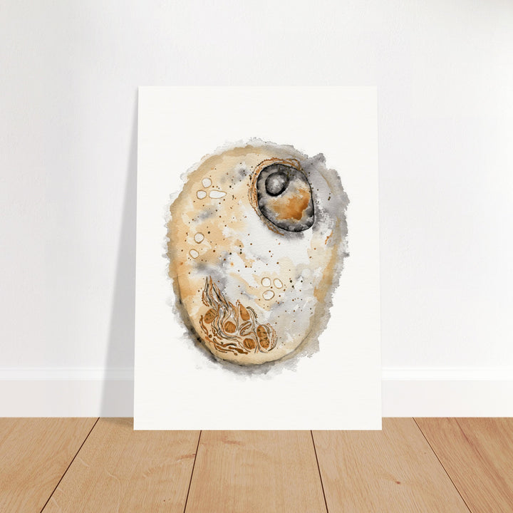 animal cell watercolor art print by ontogenie, gift for biologist or medical professional