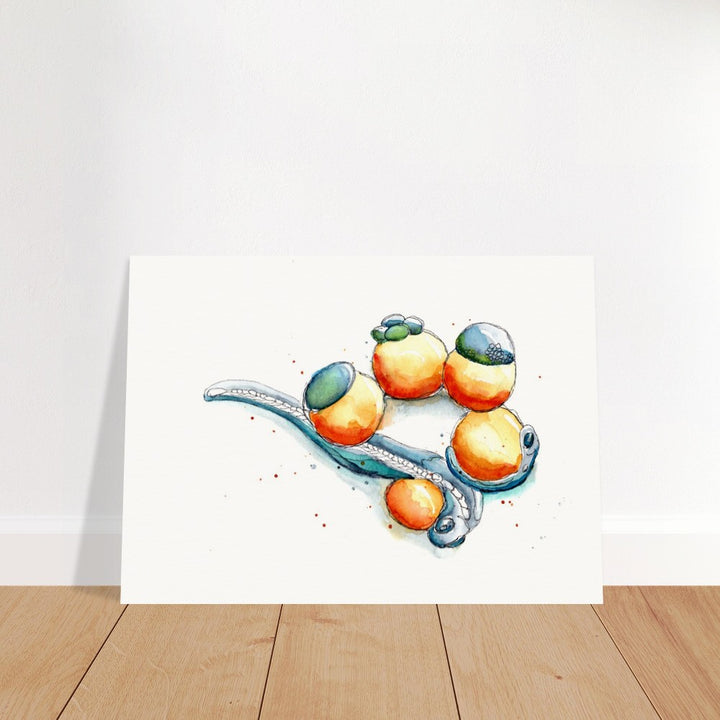 zebrafish development art print by ontogenie