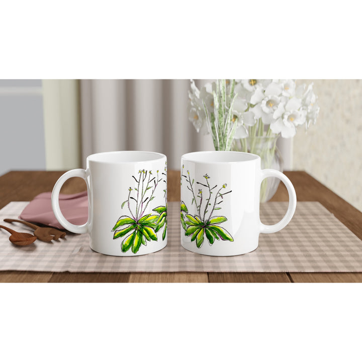 arabidopsis thaliana watercolor mug by ontogenie
