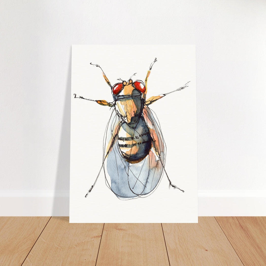 drosophila fruit fly art print ontogenie