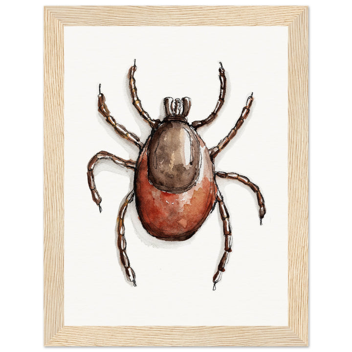 framed print of deer tick ixodes watercolor painting by ontogenie