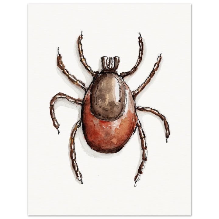 ixodes tick art print by ontogenie