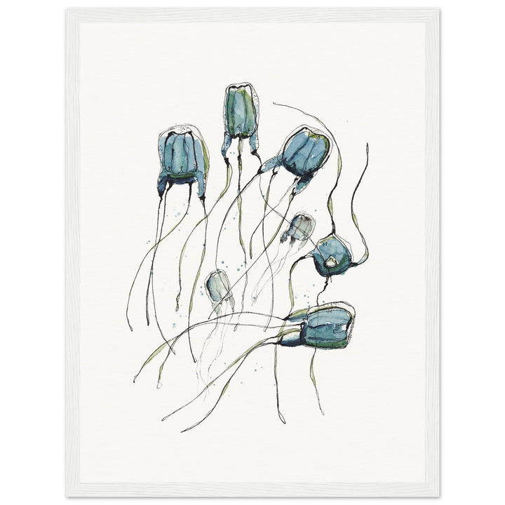 box jellyfish framed print by ontogenie
