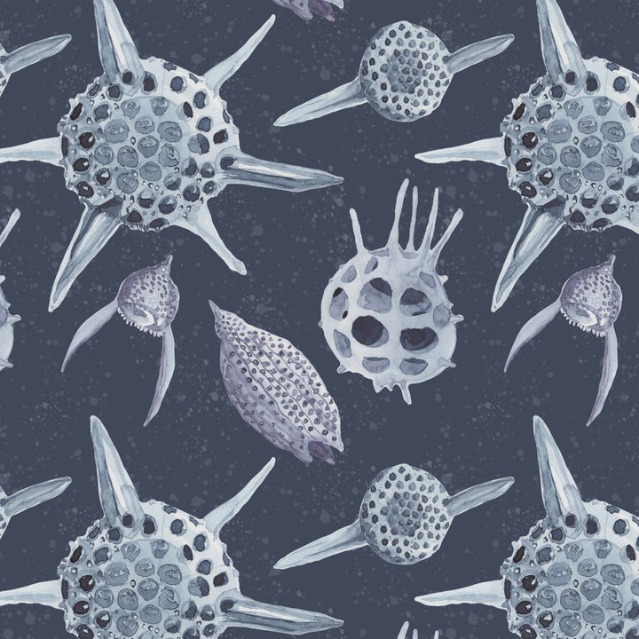 radiolaria watercolor painting video
