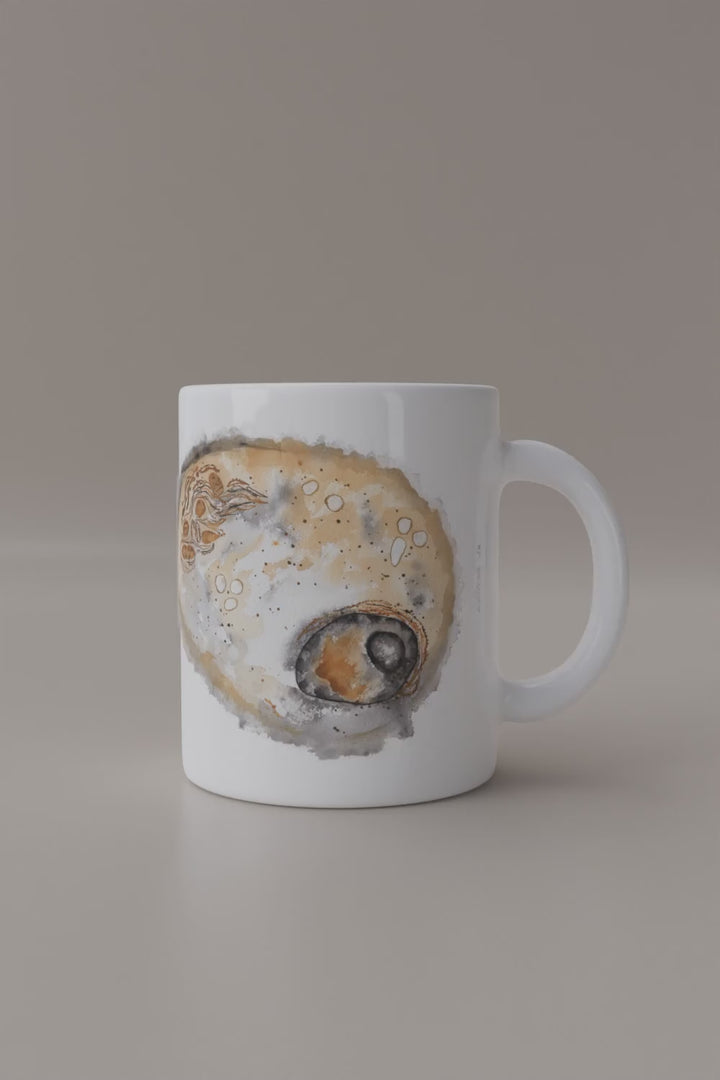 animal cell watercolor mug rotation video ontogenie