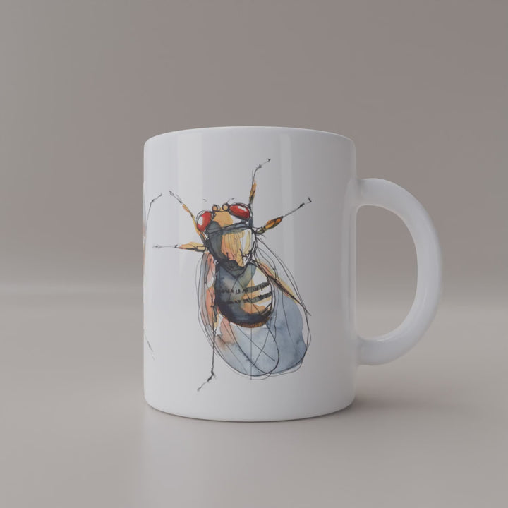 drosophila watercolor mug rotation video by ontogenie