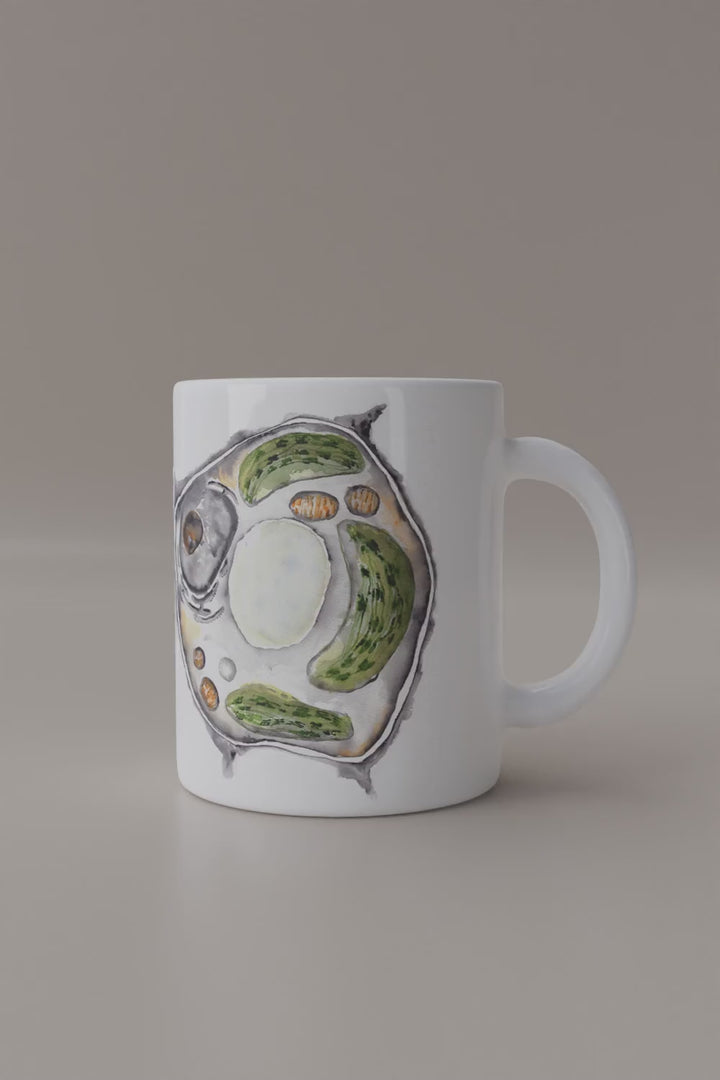 plant cell mug rotation video by ontogenie