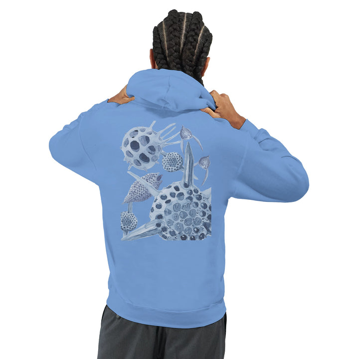 radiolaria blue hoodie on male