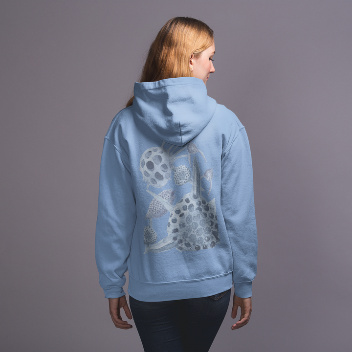 radiolaria carolina blue hoodie