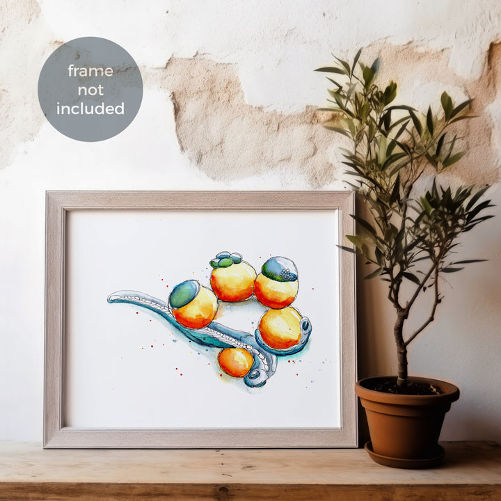 framed room mockup of zebrafish development print by ontogenie