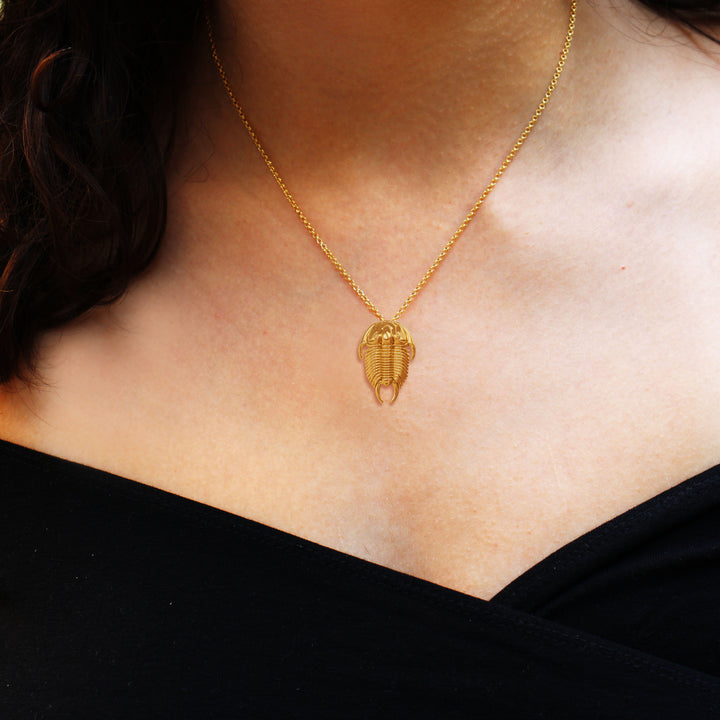 gold tricrepicephalus trilobite pendant on model by ontogenie science jewelry
