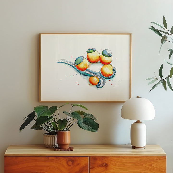 zebrafish development watercolor art print framed