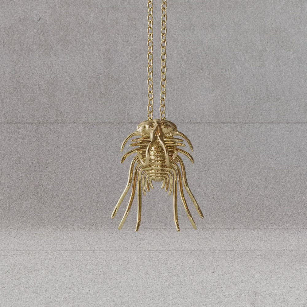 14K gold plated brass dicranurus trilobite pendant video rotate