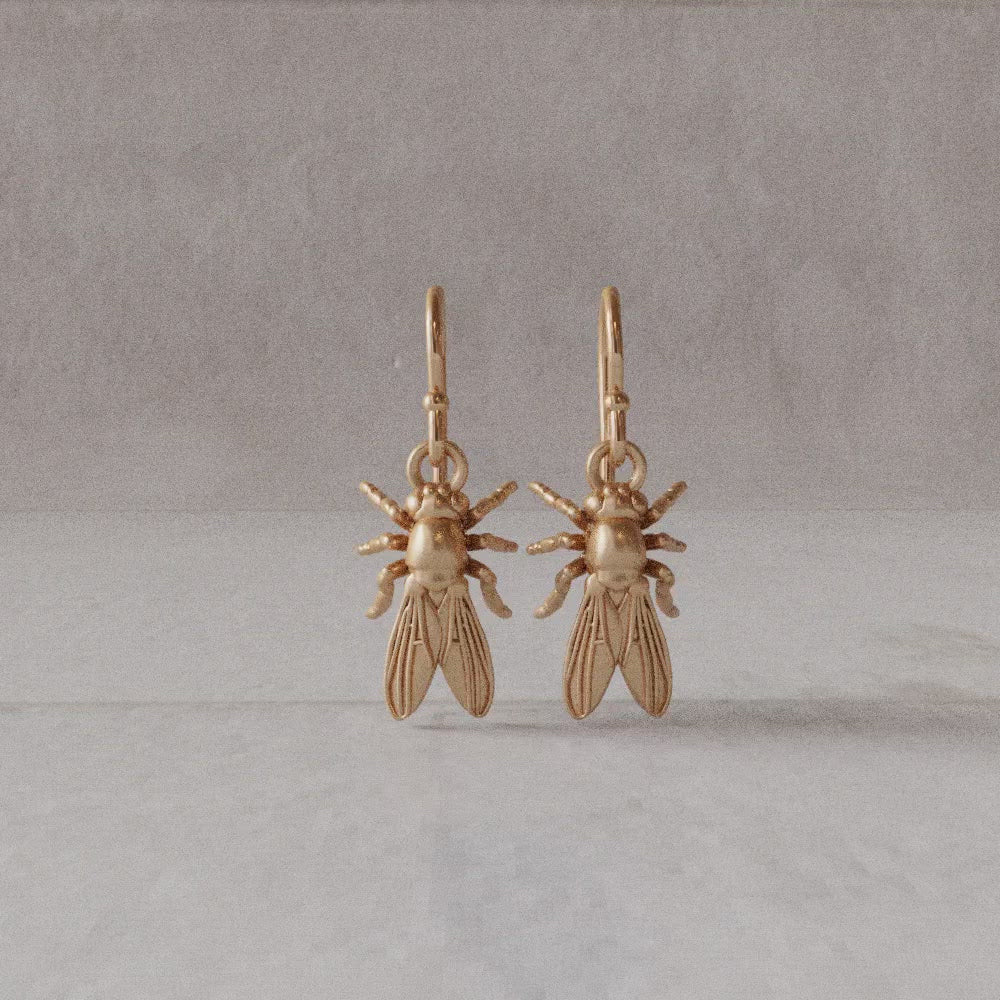 Drosophila fruit fly earrings rotation video bronze Ontogenie