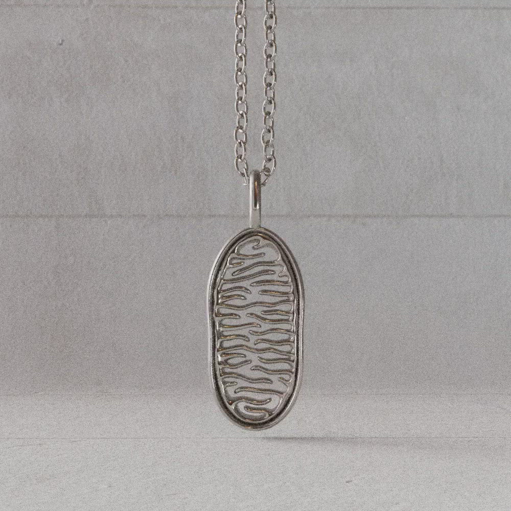 silver mitochondrion pendant rotate video