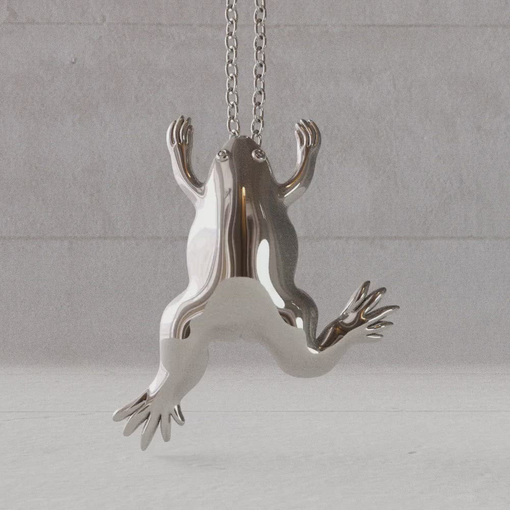 Silver Xenopus pendant rotate video Ontogenie