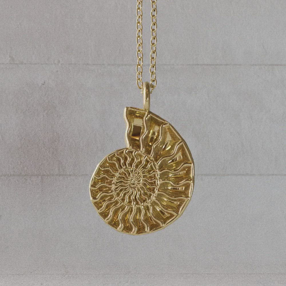 ammonite pendant 14K gold plated brass rotate video