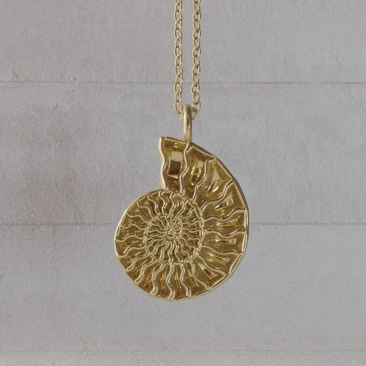 ammonite pendant 14K gold plated brass rotate video