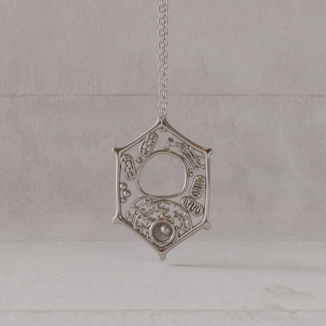 plant cell pendant sterling silver rotating video Ontogenie