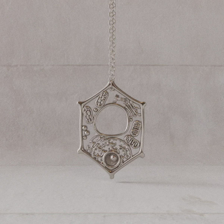 plant cell pendant sterling silver rotating video Ontogenie