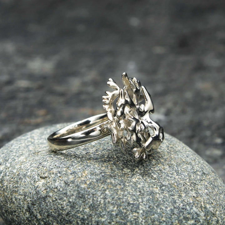 acropora elkhorn coral ring in sterling silver by ontogenie science jewelry