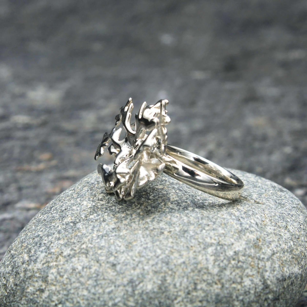 acropora elkhorn coral ring in sterling silver by ontogenie science jewelry