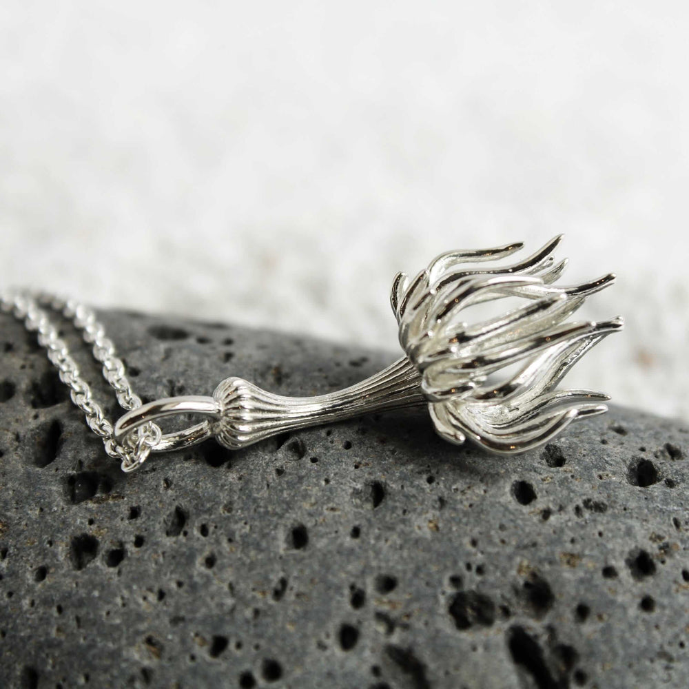 model organism aiptasia sea anemone pendant in sterling silver by Ontogenie Science Jewelry