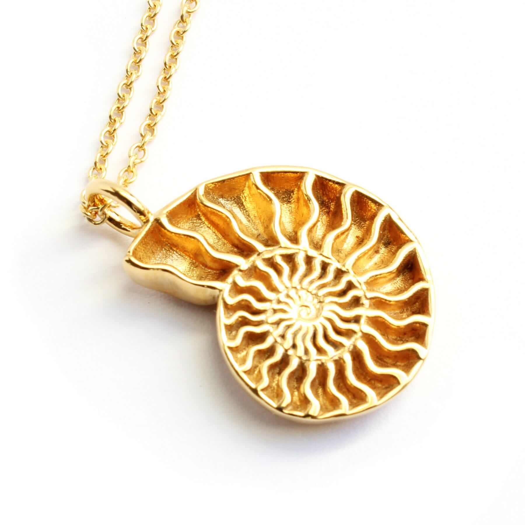 Ciondolo Ammonite Fossile Ciondolo Collana Con Fossile Di Ammonite Vero Ciondolo Ammonite Fossile Ciondolo Collana Con Fossile Di Ammonite Vero