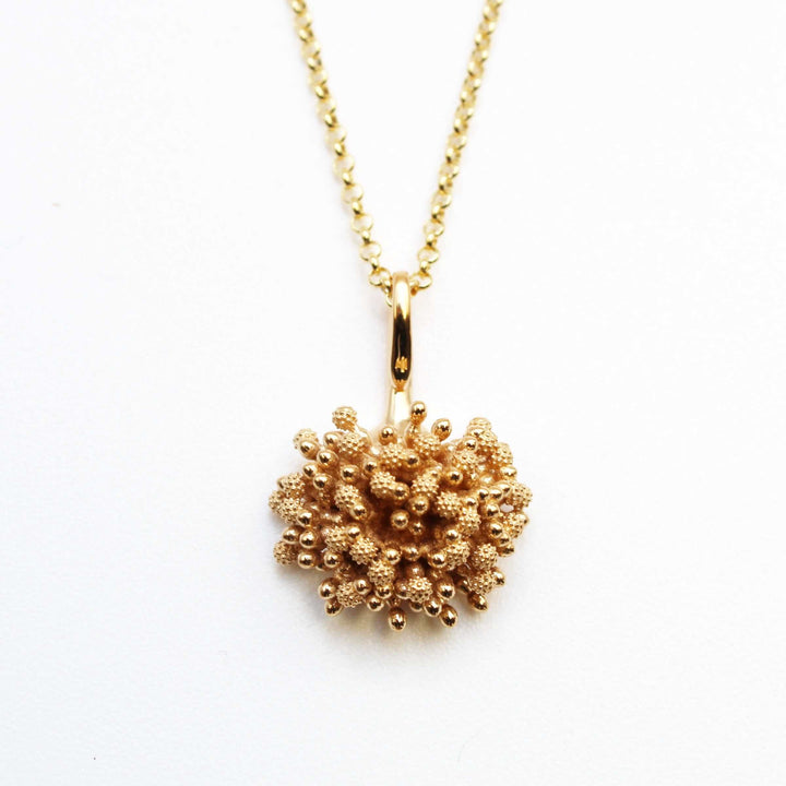 Aspergillus model organism fungus pendant 14K gold plated brass Ontogenie Science Jewelry