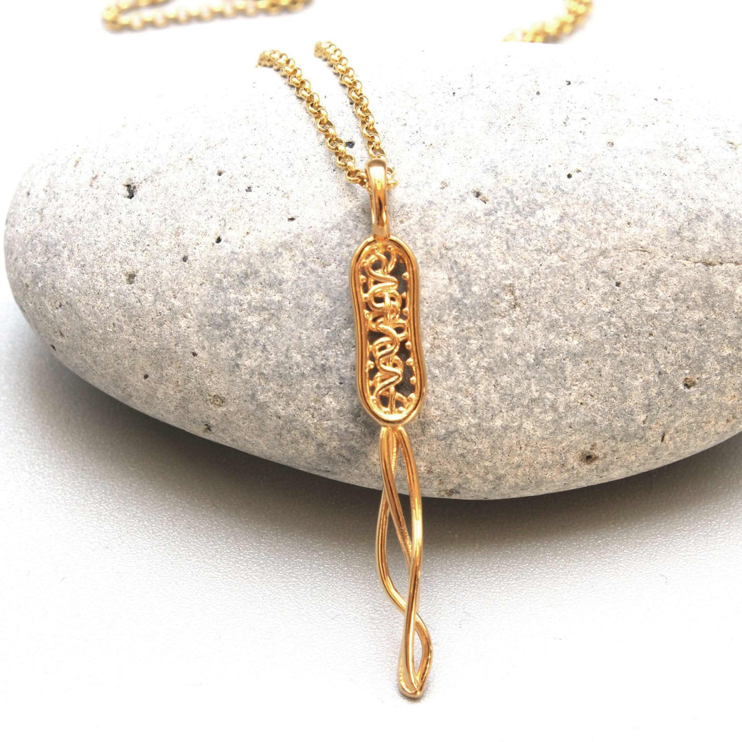 bacterial cell pendant in 14K gold plated brass Ontogenie Science Jewelry