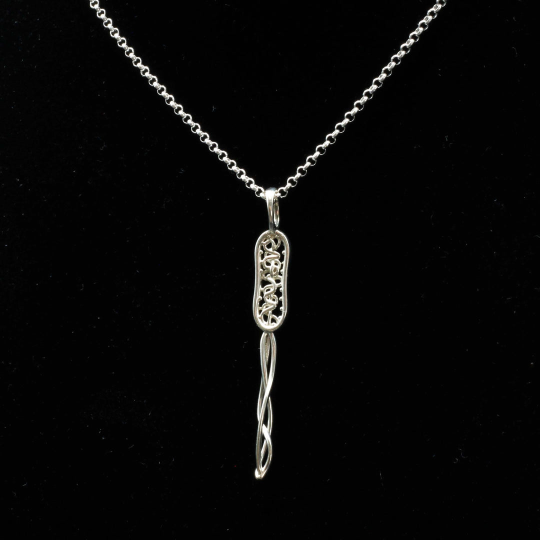 Bacterial cell pendant in sterling silver by Ontogenie Science Jewelry