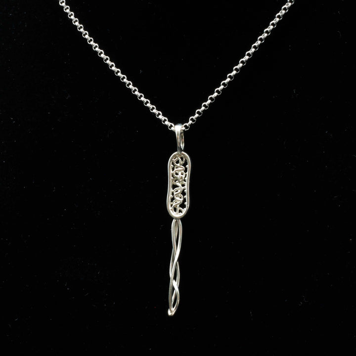 Bacterial cell pendant in sterling silver by Ontogenie Science Jewelry