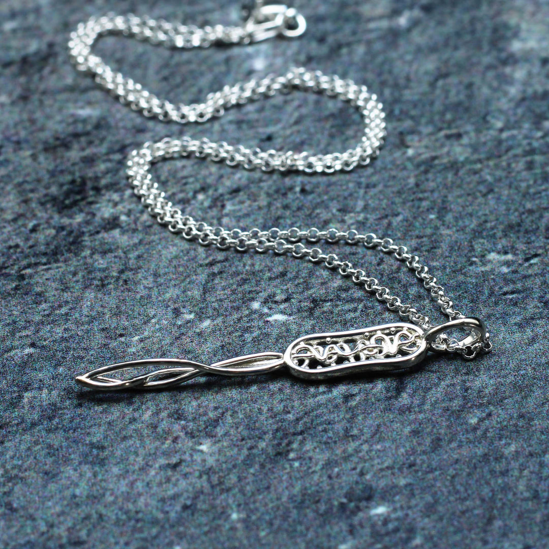 Bacterial cell pendant in sterling silver by Ontogenie Science Jewelry