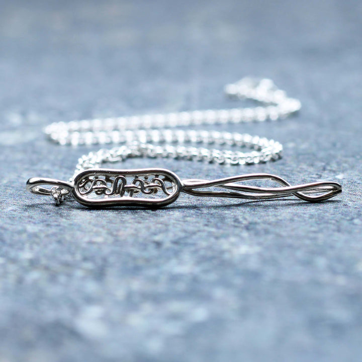 Bacterial cell pendant in sterling silver by Ontogenie Science Jewelry
