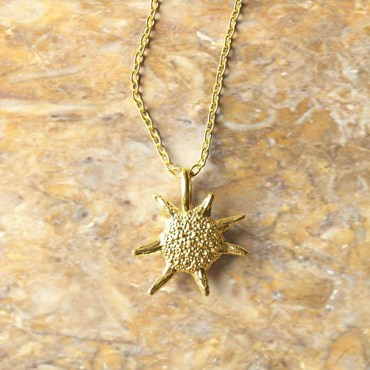 baculogypsina foraminifera star sand pendant gold
