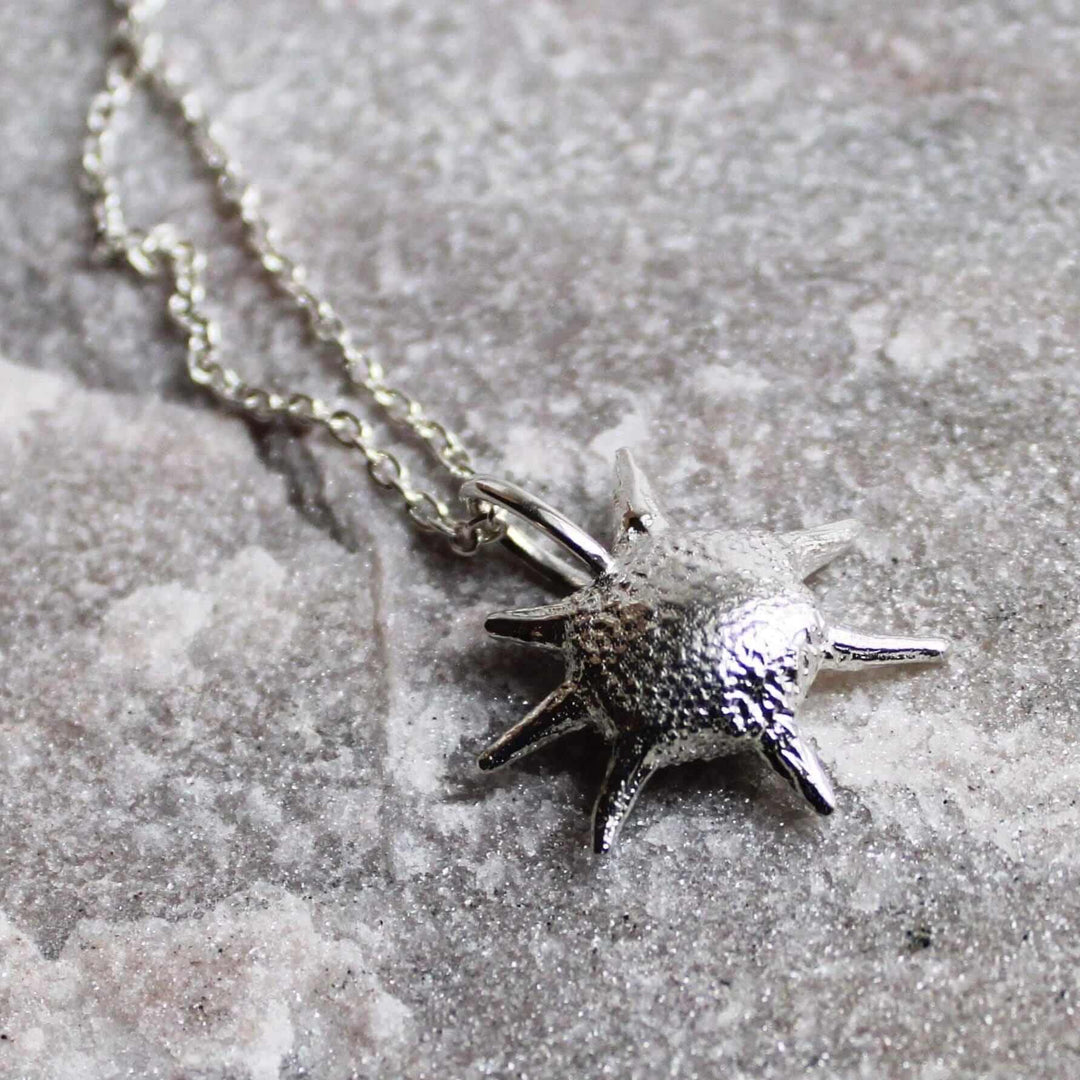 Baculogypsina Foraminifera Star Sand Pendant Ontogenie Science Jewelry