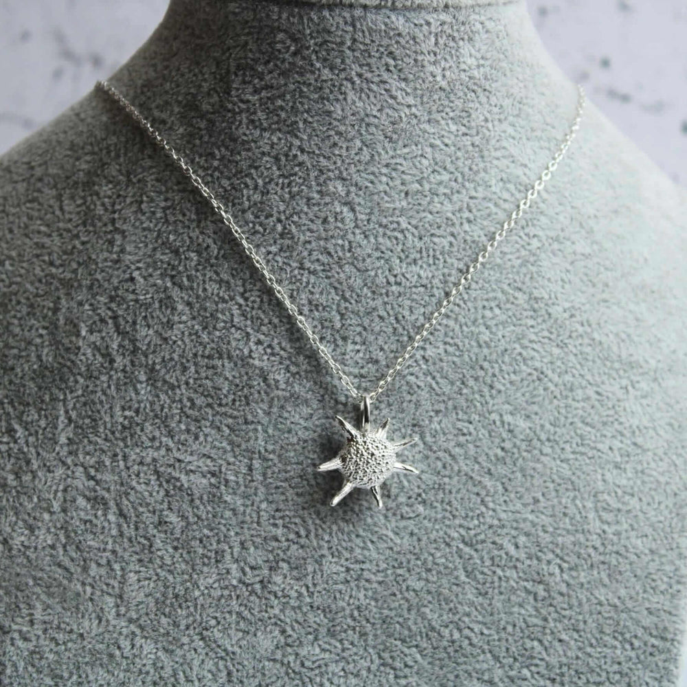 Baculogypsina Foraminifera Star Sand Pendant Ontogenie Science Jewelry