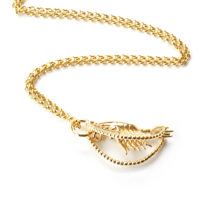 Calanoida copepod pendant in 14K gold plated brass by ontogenie